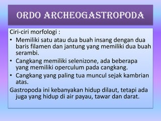 Ordo Archeogastropoda
Ciri-ciri morfologi :
• Memiliki satu atau dua buah insang dengan dua
baris filamen dan jantung yang memiliki dua buah
serambi.
• Cangkang memiliki selenizone, ada beberapa
yang memiliki operculum pada cangkang.
• Cangkang yang paling tua muncul sejak kambrian
atas.
Gastropoda ini kebanyakan hidup dilaut, tetapi ada
juga yang hidup di air payau, tawar dan darat.
 
