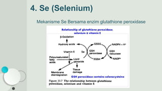 4. Se (Selenium)
Mekanisme Se Bersama enzim glutathione peroxidase
 