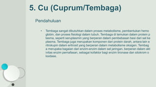 5. Cu (Cuprum/Tembaga)
Pendahuluan
• Tembaga sangat dibutuhkan dalam proses metabolisme, pembentukan hemo
globin, dan proses fisiologi dalam tubuh. Tembaga di temukan dalam protein p
lasma, seperti seruplasmin yang berperan dalam pembebasan besi dari sel ke
plasma. Tembaga juga merupakan komponen dari protein darah, antara lain e
ritrokupin dalam eritrosit yang berperan dalam metabolisme oksigen. Tembag
a merupaka bagaian dari enzim-enzim dalam sel jaringan, berperan dalam akt
ivitas enzim pernafasan, sebagai kofaktor bagi enzim tironase dan sitokrom o
ksidase.
 