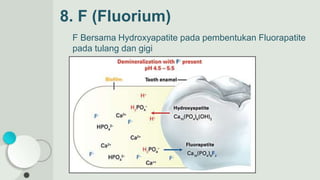 F Bersama Hydroxyapatite pada pembentukan Fluorapatite
pada tulang dan gigi
8. F (Fluorium)
 