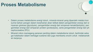 Proses Metabolisme
• Dalam proses metabolisme energi tubuh, mineral-mineral yang diperoleh melalui kon
sumsi bahan pangan dalam keseharian akan telibat dalam pengambilan energi dari si
mpanan glukosa (glycolysis), pengambilan energi dari simpanan lemak(lipolysis), pen
gambilan energi dari simpanan protein (proteolysis), serta pengambilan energi dari ph
osphocreatine (PCr)
• Mineral mikro memegang peranan penting dalam metabolisme tubuh, bertindak seba
gai katalisator dalam berbagai sustansi dan juga membantu enzim untuk melaksanak
an kerjanya.
 
