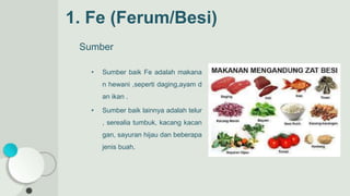 1. Fe (Ferum/Besi)
Sumber
• Sumber baik Fe adalah makana
n hewani ,seperti daging,ayam d
an ikan .
• Sumber baik lainnya adalah telur
, serealia tumbuk, kacang kacan
gan, sayuran hijau dan beberapa
jenis buah.
 