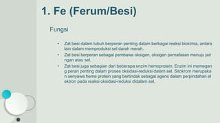 Fungsi
• Zat besi dalam tubuh berperan penting dalam berbagai reaksi biokimia, antara
lain dalam memproduksi sel darah merah.
• Zat besi berperan sebagai pembawa oksigen, oksigen pernafasan menuju jari
ngan atau sel.
• Zat besi juga sebagian dari beberapa enzim hemoprotein. Enzim ini memegan
g peran penting dalam proses oksidasi-reduksi dalam sel. Sitokrom merupaka
n senyawa heme protein yang bertindak sebagai agens dalam perpindahan el
ektron pada reaksi oksidasi-reduksi didalam sel.
1. Fe (Ferum/Besi)
 