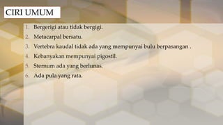 CIRI UMUM
1. Bergerigi atau tidak bergigi.
2. Metacarpal bersatu.
3. Vertebra kaudal tidak ada yang mempunyai bulu berpasangan .

4. Kebanyakan mempunyai pigostil.
5. Sternum ada yang berlunas.
6. Ada pula yang rata.

 
