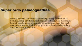 Super ordo palaeognathae
Burung berjalan atau sedikit saja terbang .tulang sternum tidak
berlunas, sayap direduksi .tidak di pakai terbang , kaki massif dan
berotot yang befungsi sebagai alat gerak, sternum kecil dan tidak
mempunyai karina, tidak ada gigig, vertebre kaudal bebas, tulang
korakoid dan scapula kecil.

 