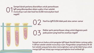 Sampel darah pertama diserahkan untuk pemeriksaan
IgM yang dikumpulkan dalam waktu 4 hari setelah
munculnya ruam dan hasil tes ELISA menunjukan hasil
negatif.
01
02 Hasil tes IgM ELISA tidak pasti atau samar-samar
03
Dokter perlu pemeriksaan ulang untuk diagnosis pasti
pada pasien yang hasil tes awalnya negatif
Sampel serum kedua untuk pengujian IgM dapat diambil dalam rentang waktu
4-28 hari setelah setelah munculnya ruam. Pengambilan sampel kedua 10-20
hari setelah yang pertama akan memungkinkan saat uji lab tidak hanya untuk
menguji IgM saja, tetapi juga menguji peningkatan level antibodi IgG.
 