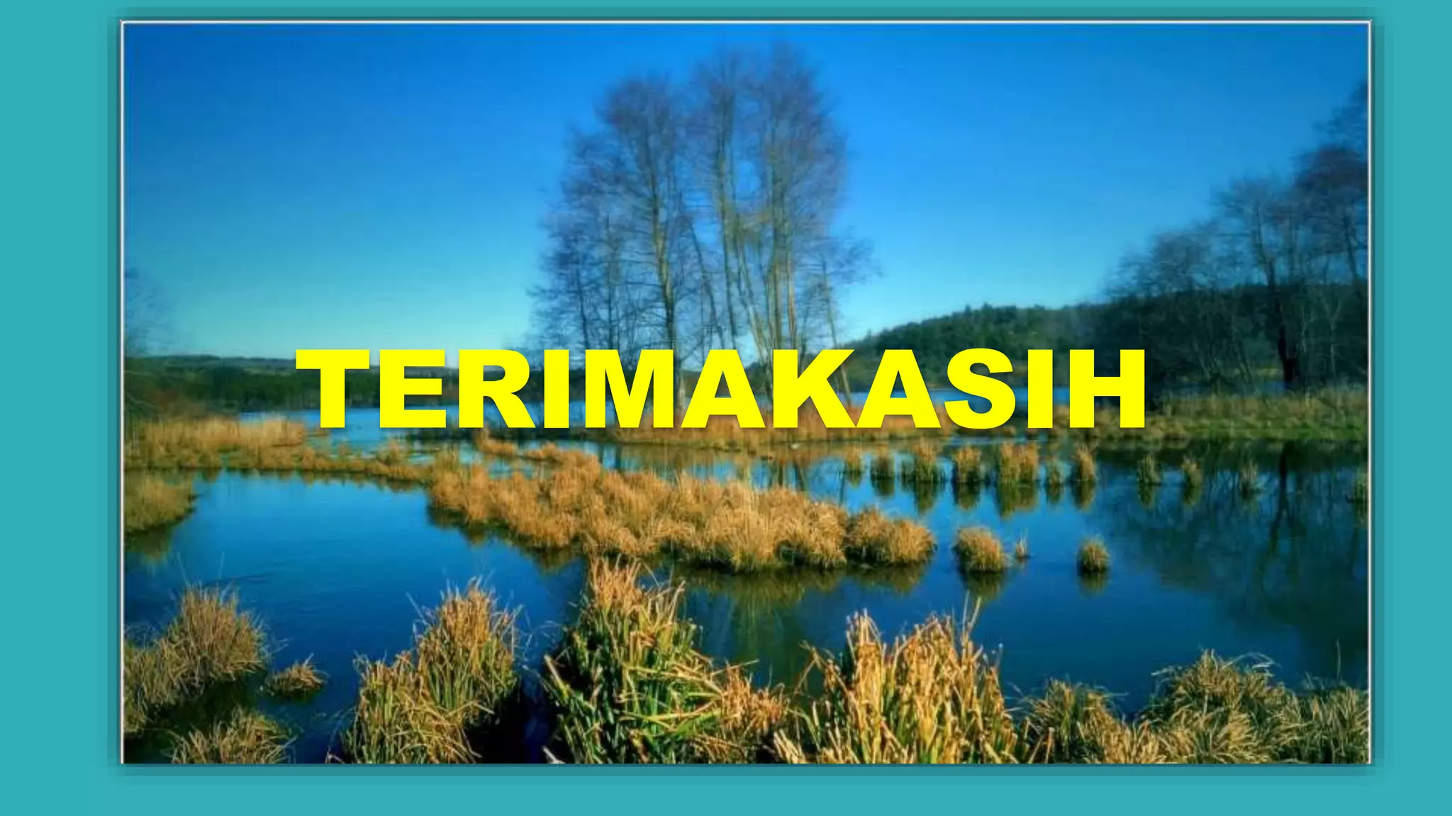 [New Upload] Kelompok 1 Tugas Pelestarian Sumber Daya Lahan Rawa | PPTX