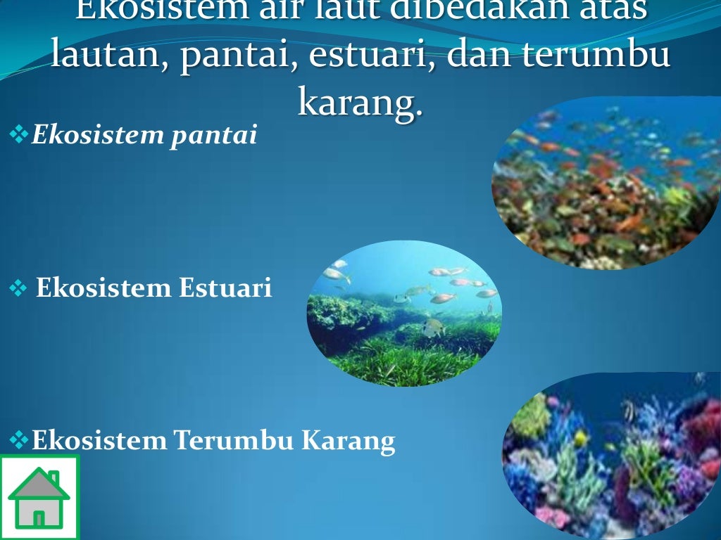 ekosistem air tawar