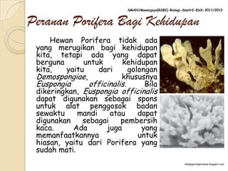 SMAN1Manonjaya(RSBI)-Biologi-Smstr2-KlsX-2011/2012



Peranan Porifera Bagi Kehidupan
     Hewan Porifera tidak ada
 yang merugikan bagi kehidupan
 kita, tetapi ada yang dapat
 berguna      untuk       kehidupan
 kita,   yaitu     dari      golongan
 Demospongiae,            khususnya
 Euspongia      officinalis.      Bila
 dikeringkan, Euspongia officinalis
 dapat digunakan sebagai spons
 untuk alat penggosok badan
 sewaktu     mandi    atau      dapat
 digunakan    sebagai     pembersih
 kaca.     Ada       juga        yang
 memanfaatkannya                untuk
 hiasan, yaitu dari Porifera yang
 sudah mati.
                                                          dedaagistiapermana.blogspot.com
 