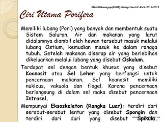 SMAN1Manonjaya(RSBI)-Biologi-Smstr2-KlsX-2011/2012


Ciri Utama Porifera
Memiliki lubang (Pori) yang banyak dan membentuk suatu
  Sistem Saluran. Air dan makanan yang larut
  didalamnya diambil oleh hewan tersebut masuk melalui
  lubang Ostium, kemudian masuk ke dalam rongga
  tubuh. Setelah makanan diserap air yang berlebihan
  dikeluarkan melalui lubang yang disebut Oskulum.
Terdapat sel dengan bentuk khusus yang disebut
  Koanosit atau Sel Leher yang berfungsi untuk
  pencernaan      makanan.    Sel    koanosit   memiliki
  nukleus, vakuola dan flagel. Karena pencernaan
  berlangsung di dalam sel maka disebut pencernaan
  Intrasel.
Mempunyai Eksoskeleton (Rangka Luar): terdiri dari
  serabut-serabut lentur yang disebut Spongin dan
  terdiri    dari    duri    yang    disebut    Spikula.  dedaagistiapermana.blogspot.com
 