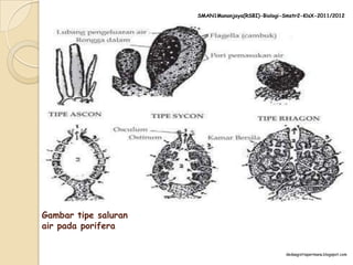 SMAN1Manonjaya(RSBI)-Biologi-Smstr2-KlsX-2011/2012




Gambar tipe saluran
air pada porifera


                                                    dedaagistiapermana.blogspot.com
 