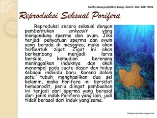 SMAN1Manonjaya(RSBI)-Biologi-Smstr2-KlsX-2011/2012



Reproduksi Seksual Porifera
      Reproduksi secara seksual dengan
 pembentukan          arkeosit       yang
 mengandung sperma dan ovum. Jika
 terjadi penyatuan sperma dan ovum
 yang berada di mesoglea, maka akan
 terbentuk zigot. Zigot ini akan
 berkembang          menjadi        larva
 bersilia,      kemudian        berenang
 meninggalkan induknya dan akan
 menempel pada suatu dasar dan hidup
 sebagai individu baru. Karena dalam
 satu tubuh menghasilkan dua sel
 kelamin, maka Porifera ini bersifat
 hemaprodit, perlu diingat pembuahan
 ini terjadi dari sperma yang berasal
 dari jenis induk Porifera yang lain, jadi
 tidak berasal dari induk yang sama.

                                                            dedaagistiapermana.blogspot.com
 