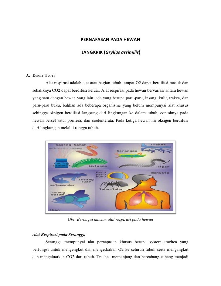  LAPORAN  PRAKTIKUM  FISIOLOGI  HEWAN  Pernapasan Pada hewan  