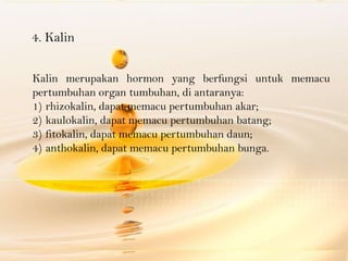 4. Kalin

Kalin merupakan hormon yang berfungsi untuk memacu
pertumbuhan organ tumbuhan, di antaranya:
1) rhizokalin, dapat memacu pertumbuhan akar;
2) kaulokalin, dapat memacu pertumbuhan batang;
3) fitokalin, dapat memacu pertumbuhan daun;
4) anthokalin, dapat memacu pertumbuhan bunga.
 