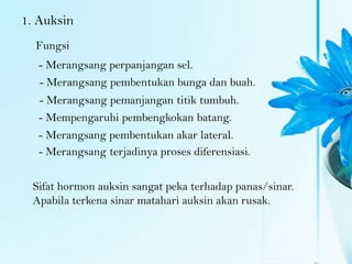 1. Auksin
  Fungsi
   - Merangsang perpanjangan sel.
   - Merangsang pembentukan bunga dan buah.
   - Merangsang pemanjangan titik tumbuh.
   - Mempengaruhi pembengkokan batang.
   - Merangsang pembentukan akar lateral.
   - Merangsang terjadinya proses diferensiasi.

  Sifat hormon auksin sangat peka terhadap panas/sinar.
  Apabila terkena sinar matahari auksin akan rusak.
 