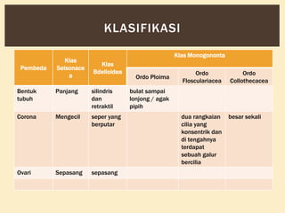 KLASIFIKASI
Pembeda

Klas
Seisonace
a

Klas Monogononta
Klas
Bdelloidea

Bentuk
tubuh

Panjang

silindris
dan
retraktil

Corona

Mengecil

seper yang
berputar

Ovari

Sepasang

sepasang

Ordo Ploima

Ordo
Flosculariacea

Ordo
Collothecacea

dua rangkaian
cilia yang
konsentrik dan
di tengahnya
terdapat
sebuah galur
bercilia

besar sekali

bulat sampai
lonjong / agak
pipih

 