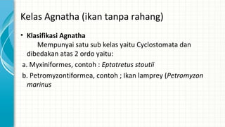 Kelas Agnatha (ikan tanpa rahang)
• Klasifikasi Agnatha
Mempunyai satu sub kelas yaitu Cyclostomata dan
dibedakan atas 2 o...