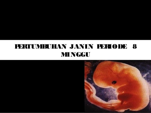 Biologi tentang 'Perkembangan Janin'