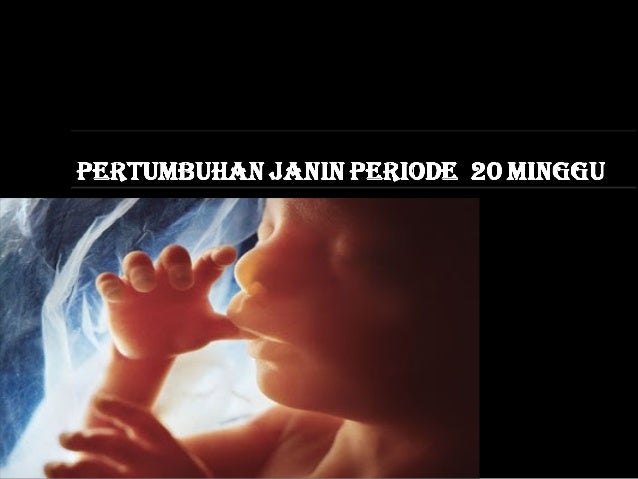 Biologi tentang 'Perkembangan Janin'