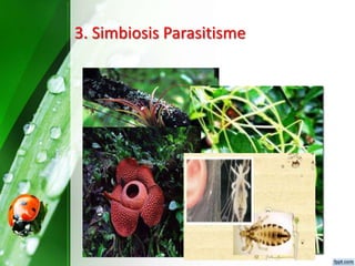 Kelompok 2- karakteristik populasi | PPTX