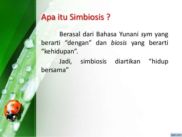 Kelompok 2- karakteristik populasi