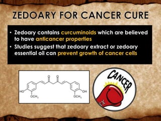 • Zedoary contains curcuminoids which are believed
to have anticancer properties
• Studies suggest that zedoary extract or zedoary
essential oil can prevent growth of cancer cells
 