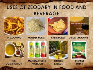 IN COOKING POWDER FORM PASTE FORM JUICE/SMOOTHIE
TEA
COMBINATION
MANUFACTURED
PRODUCTS
PICKLES
SALADS
INSTANT
DRINK
 