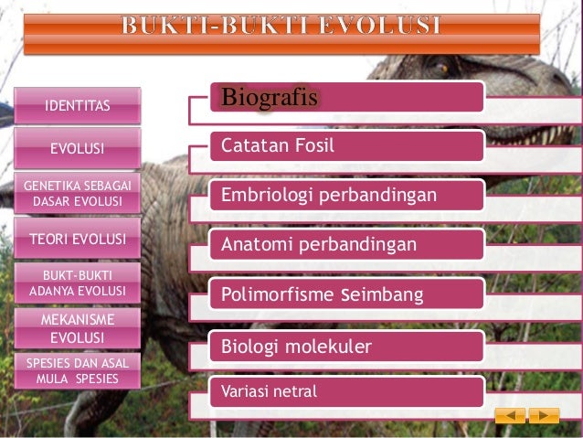 Kelompok 2b evolusi Kelompok 2b evolusi