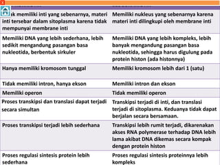 SEL PROKRIOTIK SEL EUKARIOTIK
Tidak memiliki inti yang sebenarnya, materi
inti tersebar dalam sitoplasma karena tidak
mempunyai membrane inti
Memiliki nukleus yang sebenarnya karena
materi inti dilingkupi oleh membrane inti
Memiliki DNA yang lebih sederhana, lebih
sedikit mengandung pasangan basa
nukleotida, berbentuk sirkuler
Memiliki DNA yang lebih kompleks, lebih
banyak mengandung pasangan basa
nukleotida, sehingga harus digulung pada
protein histon (ada histonnya)
Hanya memiliki kromosom tunggal Memiliki kromosom lebih dari 1 (satu)
Tidak memiliki intron, hanya ekson Memiliki intron dan ekson
Memiliki operon Tidak memiliki operon
Proses transkipsi dan translasi dapat terjadi
secara simultan
Transkipsi terjadi di inti, dan translasi
terjadi di sitoplasma. Keduanya tidak dapat
berjalan secara bersamaan.
Proses transkipsi terjadi lebih sederhana Transkipsi lebih rumit terjadi, dikarenakan
akses RNA polymerase terhadap DNA lebih
lama akibat DNA dikemas secara kompak
dengan protein histon
Proses regulasi sintesis protein lebih
sederhana
Proses regulasi sintesis proteinnya lebih
kompleks
X
 