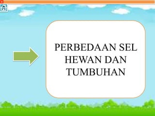 PERBEDAAN SEL
HEWAN DAN
TUMBUHAN
X
 