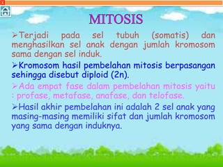 X
Terjadi pada sel tubuh (somatis) dan
menghasilkan sel anak dengan jumlah kromosom
sama dengan sel induk.
Kromosom hasil pembelahan mitosis berpasangan
sehingga disebut diploid (2n).
Ada empat fase dalam pembelahan mitosis yaitu
: profase, metafase, anafase, dan telofase.
Hasil akhir pembelahan ini adalah 2 sel anak yang
masing-masing memiliki sifat dan jumlah kromosom
yang sama dengan induknya.
 