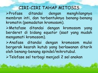 CIRI-CIRI TAHAP MITOSIS
Profase ditandai dengan menghilangnya
membran inti, dan terbentuknya benang-benang
kromatin (pemadatan kromosom).
Metafase ditandai dengan kromosom yang
berderet di bidang equator (saat yang mudah
mengamati kromosom).
Anafase ditandai dengan kromosom mulai
bergerak kearah kutub yang berlawanan ditarik
oleh benang-benang spindel/mikrotubul.
Telofase sel terbagi menjadi 2 sel anakan
 