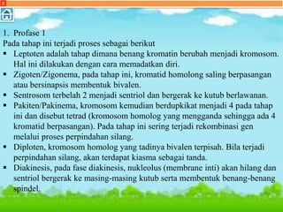 X
1. Profase 1
Pada tahap ini terjadi proses sebagai berikut
 Leptoten adalah tahap dimana benang kromatin berubah menjadi kromosom.
Hal ini dilakukan dengan cara memadatkan diri.
 Zigoten/Zigonema, pada tahap ini, kromatid homolong saling berpasangan
atau bersinapsis membentuk bivalen.
 Sentrosom terbelah 2 menjadi sentriol dan bergerak ke kutub berlawanan.
 Pakiten/Pakinema, kromosom kemudian berdupkikat menjadi 4 pada tahap
ini dan disebut tetrad (kromosom homolog yang mengganda sehingga ada 4
kromatid berpasangan). Pada tahap ini sering terjadi rekombinasi gen
melalui proses perpindahan silang.
 Diploten, kromosom homolog yang tadinya bivalen terpisah. Bila terjadi
perpindahan silang, akan terdapat kiasma sebagai tanda.
 Diakinesis, pada fase diakinesis, nukleolus (membrane inti) akan hilang dan
sentriol bergerak ke masing-masing kutub serta membentuk benang-benang
spindel.
 