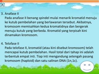X
3. Anafase II
Pada anafase II benang spindel mulai menarik kromatid menuju
ke kutub pembelahan yang berlawanan tersebut. Akibatnya,
kromosom memisahkan kedua kromatidnya dan bergerak
menuju kutub yang berbeda. Kromatid yang terpisah kini
dinamakan kromosom.
4. Telofase II
Pada telofase II, kromatid (atau kini disebut kromosom) telah
mencapai kutub pembelahan. Hasil total dari tahap ini adalah
terbentuk empat inti. Tiap inti mengandung setengah pasang
kromosom (haploid) dan satu salinan DNA (1n,1c).
 