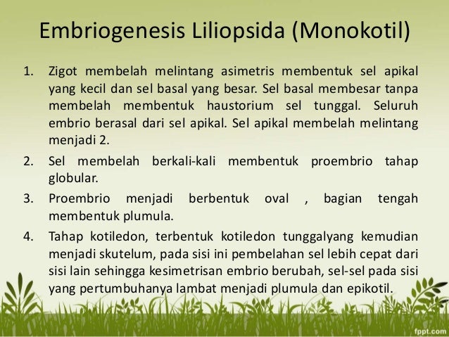PPT Embriologi Tumbuhan - Perkembangan Embrio dan Biji