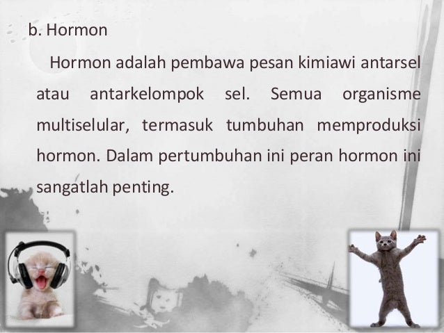 Power point pembiasan cahaya dalam