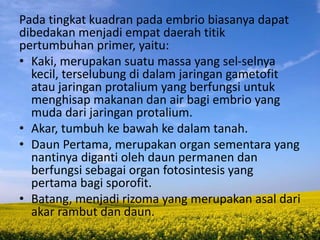 Pada tingkat kuadran pada embrio biasanya dapat
dibedakan menjadi empat daerah titik
pertumbuhan primer, yaitu:
• Kaki, merupakan suatu massa yang sel-selnya
kecil, terselubung di dalam jaringan gametofit
atau jaringan protalium yang berfungsi untuk
menghisap makanan dan air bagi embrio yang
muda dari jaringan protalium.
• Akar, tumbuh ke bawah ke dalam tanah.
• Daun Pertama, merupakan organ sementara yang
nantinya diganti oleh daun permanen dan
berfungsi sebagai organ fotosintesis yang
pertama bagi sporofit.
• Batang, menjadi rizoma yang merupakan asal dari
akar rambut dan daun.
 
