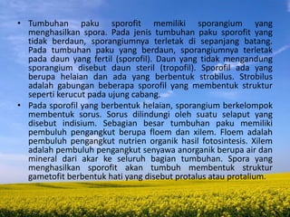 • Tumbuhan paku sporofit memiliki sporangium yang
menghasilkan spora. Pada jenis tumbuhan paku sporofit yang
tidak berdaun, sporangiumnya terletak di sepanjang batang.
Pada tumbuhan paku yang berdaun, sporangiumnya terletak
pada daun yang fertil (sporofil). Daun yang tidak mengandung
sporangium disebut daun steril (tropofil). Sporofil ada yang
berupa helaian dan ada yang berbentuk strobilus. Strobilus
adalah gabungan beberapa sporofil yang membentuk struktur
seperti kerucut pada ujung cabang.
• Pada sporofil yang berbentuk helaian, sporangium berkelompok
membentuk sorus. Sorus dilindungi oleh suatu selaput yang
disebut indisium. Sebagian besar tumbuhan paku memiliki
pembuluh pengangkut berupa floem dan xilem. Floem adalah
pembuluh pengangkut nutrien organik hasil fotosintesis. Xilem
adalah pembuluh pengangkut senyawa anorganik berupa air dan
mineral dari akar ke seluruh bagian tumbuhan. Spora yang
menghasilkan sporofit akan tumbuh membentuk struktur
gametofit berbentuk hati yang disebut protalus atau protalium.
 