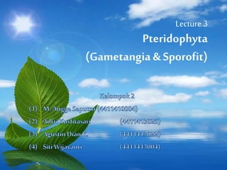 Lecture 3
Pteridophyta
(Gametangia & Sporofit)
 