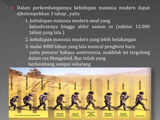  Dalam perkembangannya kehidupan manusia modern dapat 
dikelompokkan 3 tahap , yaitu 
1. kehidupan manusia modern awal yang 
kehadirannya hingga akhir zaman es (sekitar 12.000 
tahun yang lalu ) 
2. kehidupan manusia modern yang lebih belakangan 
3. mulai 4000 tahun yang lalu muncul penghuni baru 
yaitu penutur bahasa austronesia, makhluk ini tergolong 
dalam ras Mongoloid. Ras inilah yang 
berkembang sampai sekarang 
 