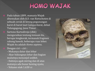  Pada tahun 1889, manusia Wajak 
ditemukan oleh B.D. van Rietschoten di 
sebuah ceruk di lereng pegunungan 
karst di barat laut Campurdarat, dekat 
Tulungagung, Jawa Timur. 
 Sartono Kartodirojo (dkk) 
menguraikan tentang temuan itu, 
berupa tengkorak, termasuk fragmen 
rahang bawah, beberapa ruas leher. 
Wajak itu adalah Homo sapiens. 
 Dengan ciri – ciri : 
- Mukanya datar dan lebar 
- Akar hidungnya lebar dan bagian 
mulutnya menonjol sedikit. 
- Dahinya agak miring dan di atas 
matanya ada busur kening nyata, 
- Volume otak 1.630 cc 
 
