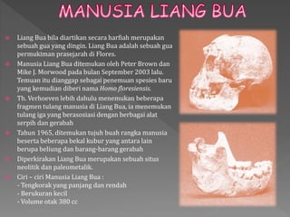  Liang Bua bila diartikan secara harfiah merupakan 
sebuah gua yang dingin. Liang Bua adalah sebuah gua 
permukiman prasejarah di Flores. 
 Manusia Liang Bua ditemukan oleh Peter Brown dan 
Mike J. Morwood pada bulan September 2003 lalu. 
Temuan itu dianggap sebagai penemuan spesies baru 
yang kemudian diberi nama Homo floresiensis. 
 Th. Verhoeven lebih dahulu menemukan beberapa 
fragmen tulang manusia di Liang Bua, ia menemukan 
tulang iga yang berasosiasi dengan berbagai alat 
serpih dan gerabah 
 Tahun 1965, ditemukan tujuh buah rangka manusia 
beserta beberapa bekal kubur yang antara lain 
berupa beliung dan barang-barang gerabah 
 Diperkirakan Liang Bua merupakan sebuah situs 
neolitik dan paleometalik. 
 Ciri – ciri Manusia Liang Bua : 
- Tengkorak yang panjang dan rendah 
- Berukuran kecil 
- Volume otak 380 cc 
 