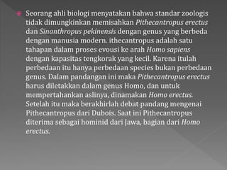  Seorang ahli biologi menyatakan bahwa standar zoologis 
tidak dimungkinkan memisahkan Pithecantropus erectus 
dan Sinanthropus pekinensis dengan genus yang berbeda 
dengan manusia modern. ithecantropus adalah satu 
tahapan dalam proses evousi ke arah Homo sapiens 
dengan kapasitas tengkorak yang kecil. Karena itulah 
perbedaan itu hanya perbedaan species bukan perbedaan 
genus. Dalam pandangan ini maka Pithecantropus erectus 
harus diletakkan dalam genus Homo, dan untuk 
mempertahankan aslinya, dinamakan Homo erectus. 
Setelah itu maka berakhirlah debat pandang mengenai 
Pithecantropus dari Dubois. Saat ini Pithecantropus 
diterima sebagai hominid dari Jawa, bagian dari Homo 
erectus. 
 