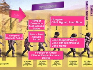 X MIPA 1 
SMAN 1 NGAWI 
Mengenal 
Manusia Purba 
Tempat 
Penemuan 
Fosil Manusia 
Purba 
- Sangiran 
- Trinil, Ngawi, Jawa Timur 
Jenis – Jenis 
Manusia 
Purba - Jenis Meganthropus 
- Jenis Pithecanthropus 
- Jenis Homo 
Perdebatan Antara 
Pithecanthropus ke Homo 
Erectus 
 