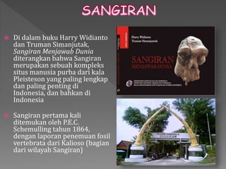  Di dalam buku Harry Widianto 
dan Truman Simanjutak, 
Sangiran Menjawab Dunia 
diterangkan bahwa Sangiran 
merupakan sebuah kompleks 
situs manusia purba dari kala 
Pleisteson yang paling lengkap 
dan paling penting di 
Indonesia, dan bahkan di 
Indonesia 
 Sangiran pertama kali 
ditemukan oleh P.E.C. 
Schemulling tahun 1864, 
dengan laporan penemuan fosil 
vertebrata dari Kalioso (bagian 
dari wilayah Sangiran) 
 