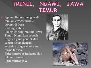  Eguene Dubois mengawali 
temuan Pithecantropus 
erectus di Desa 
Kedungbrubus, 
Pilangkenceng, Madiun, Jawa 
Timur. Ditemukan sebuah 
fragmen yang pendek dan 
sangat kekar, dengan 
sebagian prageraham yang 
masih tersisa. 
Phitecantropus itu kemudian 
dikenal dengan 
Pithecantropus A 
 