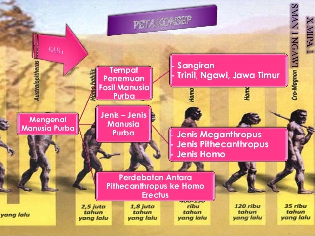 SEJARAH MANUSIA PURBA