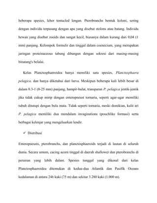 beberapa spesies, leher tentacled lengan. Pterobranchs bentuk koloni, sering

dengan individu terpasang dengan apa yang disebut stolons atau batang. Individu

hewan yang disebut zooids dan sangat kecil, biasanya dalam kurang dari 0,04 (1

mm) panjang. Kelompok formulir dan tinggal dalam coenecium, yang merupakan

jaringan proteinaceous tabung dibangun dengan sekresi dari masing-masing

binatang's belalai.


   Kelas Planctosphaeroidea hanya memiliki satu spesies, Planctosphaera

pelagica, dan hanya diketahui dari larva. Meskipun beberapa kali lebih besar di

dalam 0.3-1 (8-25 mm) panjang, hampir-bulat, transparan P. pelagica jentik-jentik

jika tidak cukup mirip dengan enteropneust tornaria, seperti agar-agar memiliki

tubuh ditutupi dengan bulu mata. Tidak seperti tornaria, meski demikian, kulit ari

P. pelagica memiliki dua mendalam invaginations (pouchlike formasi) serta

berbagai kelenjar yang mengeluarkan lendir.


    Distribusi


Enteropneusts, pterobranchs, dan planctosphaeroids terjadi di lautan di seluruh

dunia. Secara umum, cacing acorn tinggal di daerah shallower dan pterobranchs di

perairan   yang lebih    dalam. Spesies tunggal      yang dikenal dari kelas

Planctosphaeroidea ditemukan di kedua-dua Atlantik dan Pasifik Oceans

kedalaman di antara 246 kaki (75 m) dan sekitar 3.280 kaki (1.000 m).
 
