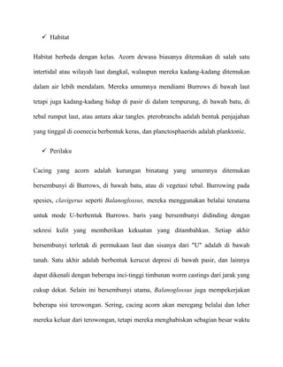  Habitat


Habitat berbeda dengan kelas. Acorn dewasa biasanya ditemukan di salah satu

intertidal atau wilayah laut dangkal, walaupun mereka kadang-kadang ditemukan

dalam air lebih mendalam. Mereka umumnya mendiami Burrows di bawah laut

tetapi juga kadang-kadang hidup di pasir di dalam tempurung, di bawah batu, di

tebal rumput laut, atau antara akar tangles. pterobranchs adalah bentuk penjajahan

yang tinggal di coenecia berbentuk keras, dan planctosphaerids adalah planktonic.


    Perilaku


Cacing yang acorn adalah kurungan binatang yang umumnya ditemukan

bersembunyi di Burrows, di bawah batu, atau di vegetasi tebal. Burrowing pada

spesies, clavigerus seperti Balanoglossus, mereka menggunakan belalai terutama

untuk mode U-berbentuk Burrows. baris yang bersembunyi didinding dengan

sekresi kulit yang memberikan kekuatan yang ditambahkan. Setiap akhir

bersembunyi terletak di permukaan laut dan sisanya dari "U" adalah di bawah

tanah. Satu akhir adalah berbentuk kerucut depresi di bawah pasir, dan lainnya

dapat dikenali dengan beberapa inci-tinggi timbunan worm castings dari jarak yang

cukup dekat. Selain ini bersembunyi utama, Balanoglossus juga mempekerjakan

beberapa sisi terowongan. Sering, cacing acorn akan meregang belalai dan leher

mereka keluar dari terowongan, tetapi mereka menghabiskan sebagian besar waktu
 