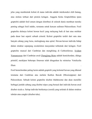 jelas yang membentuk koloni di mana individu adalah interkoneksi oleh batang,

atau stolons terbuat dari protein kolagen. Anggota Kelas Graptolithina (para

graptolit) adalah fosil umum dengan distribusi di seluruh dunia membuat mereka

penting sebagai fosil indeks, terutama untuk kencan sedimen Paleozoikum. Fosil

graptolite dulunya koloni hewan kecil yang melayang baik di laut atau melekat

pada dasar laut seperti sebuah crinoid. Koloni graptolite terdiri dari satu atau

banyak cabang yang lurus, melengkung atau spiral. Hewan-hewan individu hidup

dalam struktur sepanjang exoskeleton masyarakat terbentuk dari kolagen. Fosil

graptolite muncul dari Cambrian dan menghilang di Carboniferous. lividum

Yannanozoon dari Cambrian awal Chengjiang Biota adalah hemichordate, diduga

primitif, meskipun beberapa ilmuwan telah ditugaskan ke misterius Vetulicolia

filum                                                                              .

Fosil hemichordate paling lazim adalah graptolit yang kolonial hewan yang dikenal

terutama dari Cambrian atas melalui Karbon Bawah (Mississippian) dari

Paleozoikum. Sebuah koloni graptolite disebut rhabdosome dan akan memiliki

berbagai jumlah cabang yang disebut stipes yang berasal dari individu hewan awal

disebut sicula a. Setiap individu berikutnya (zooid) yang terletak di dalam struktur

tubular atau cangkir (disebut teka).
 